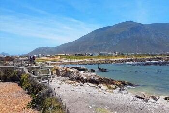  Betty\'s Bay, Whale Coast, Overberg