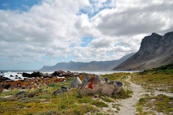  Kogelberg Nature Reserve, Rooi-Els, Whale Coast