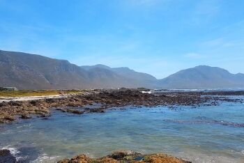 Betty\'s Bay, Kogelberg Mountains